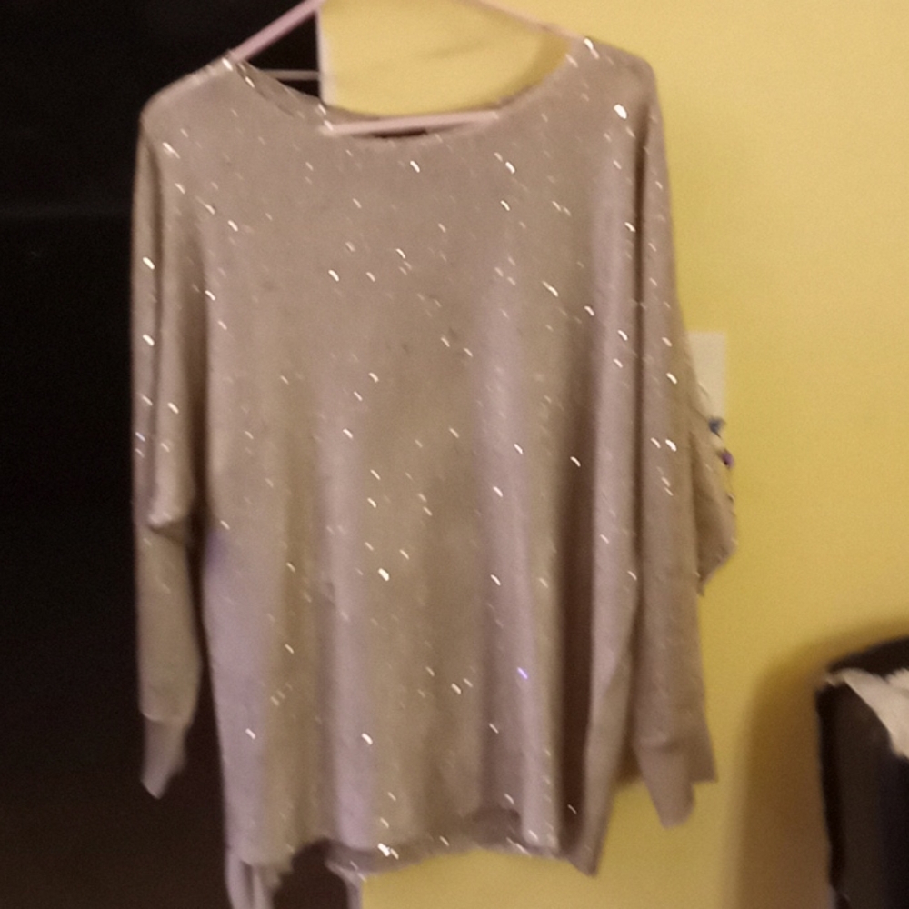 Alfani woman's long sleeve sparkly top